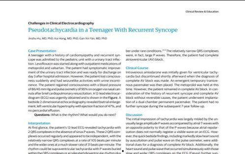 intern在线观看,跟随Intern在线观看，探索职场成长之旅  第1张